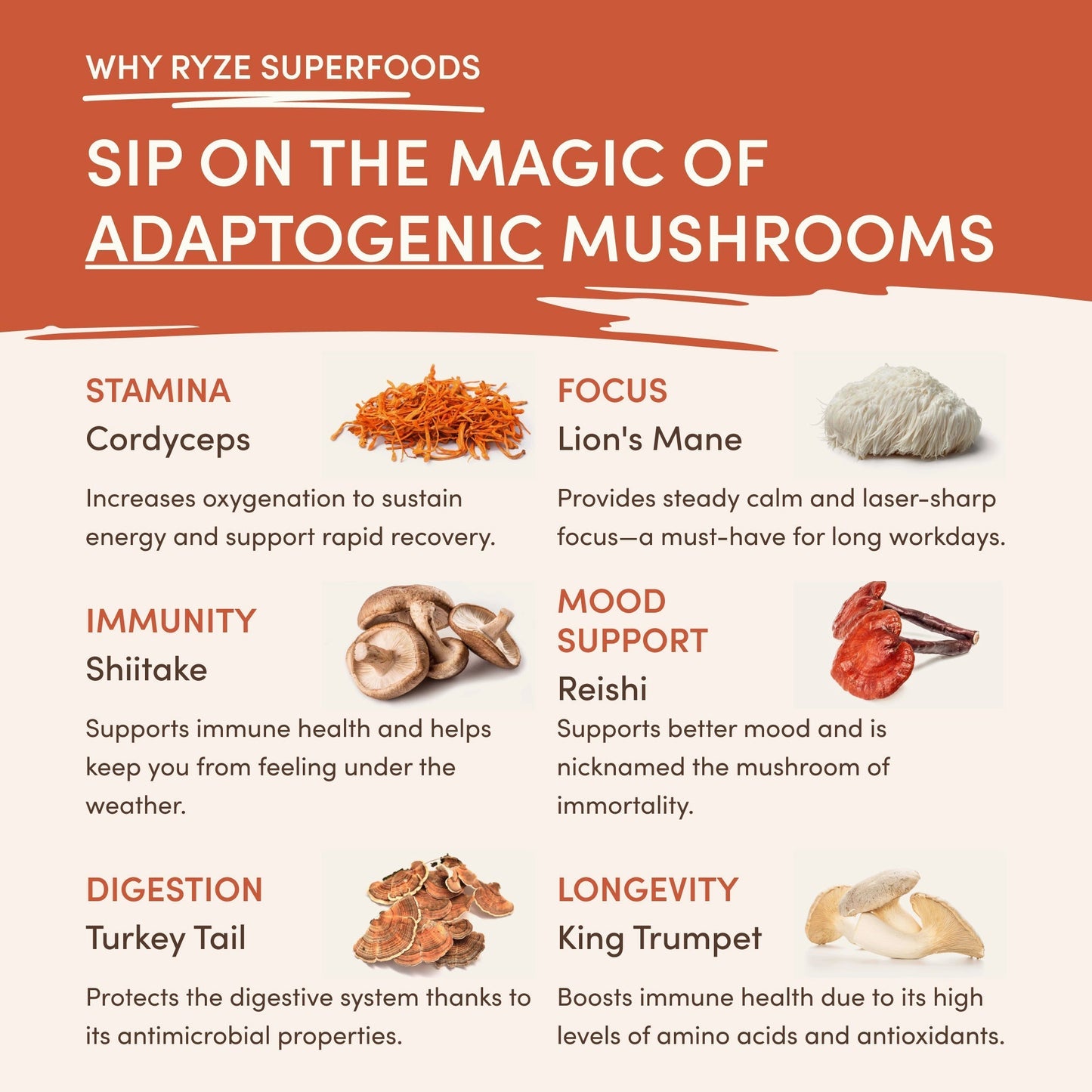 Superfood Creamer X6TE