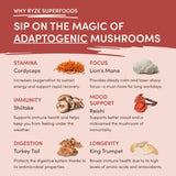 Mushroom Chai XCWH