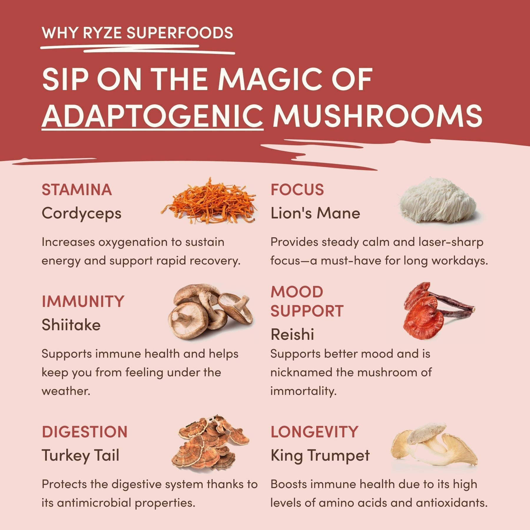 Mushroom Chai XCWH
